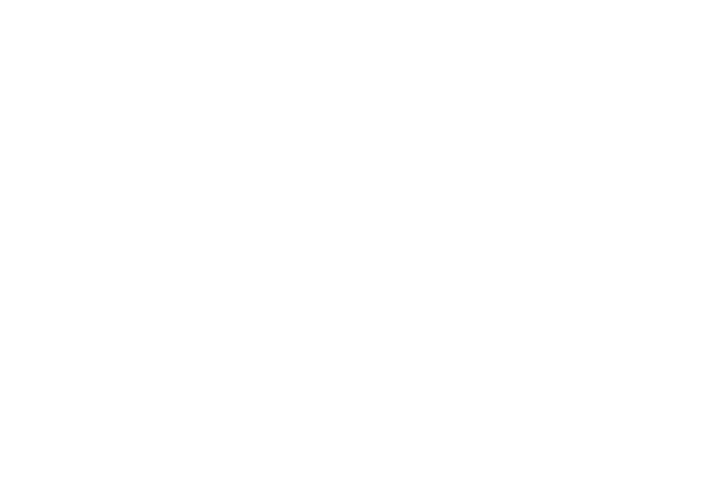 Festival Reino Fungi