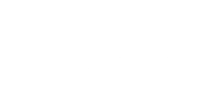 el gato y la caja
