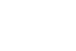 el gato y la caja